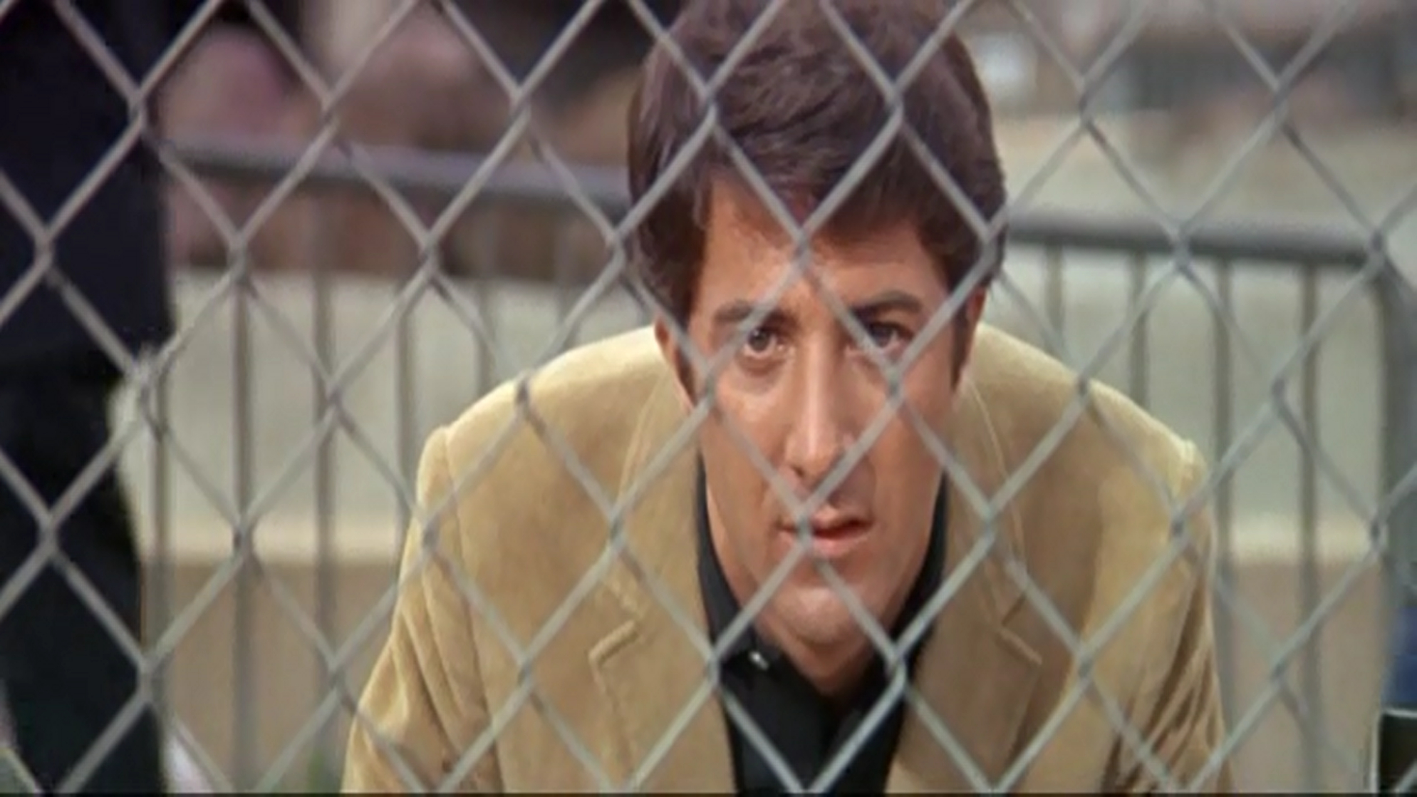 The Graduate