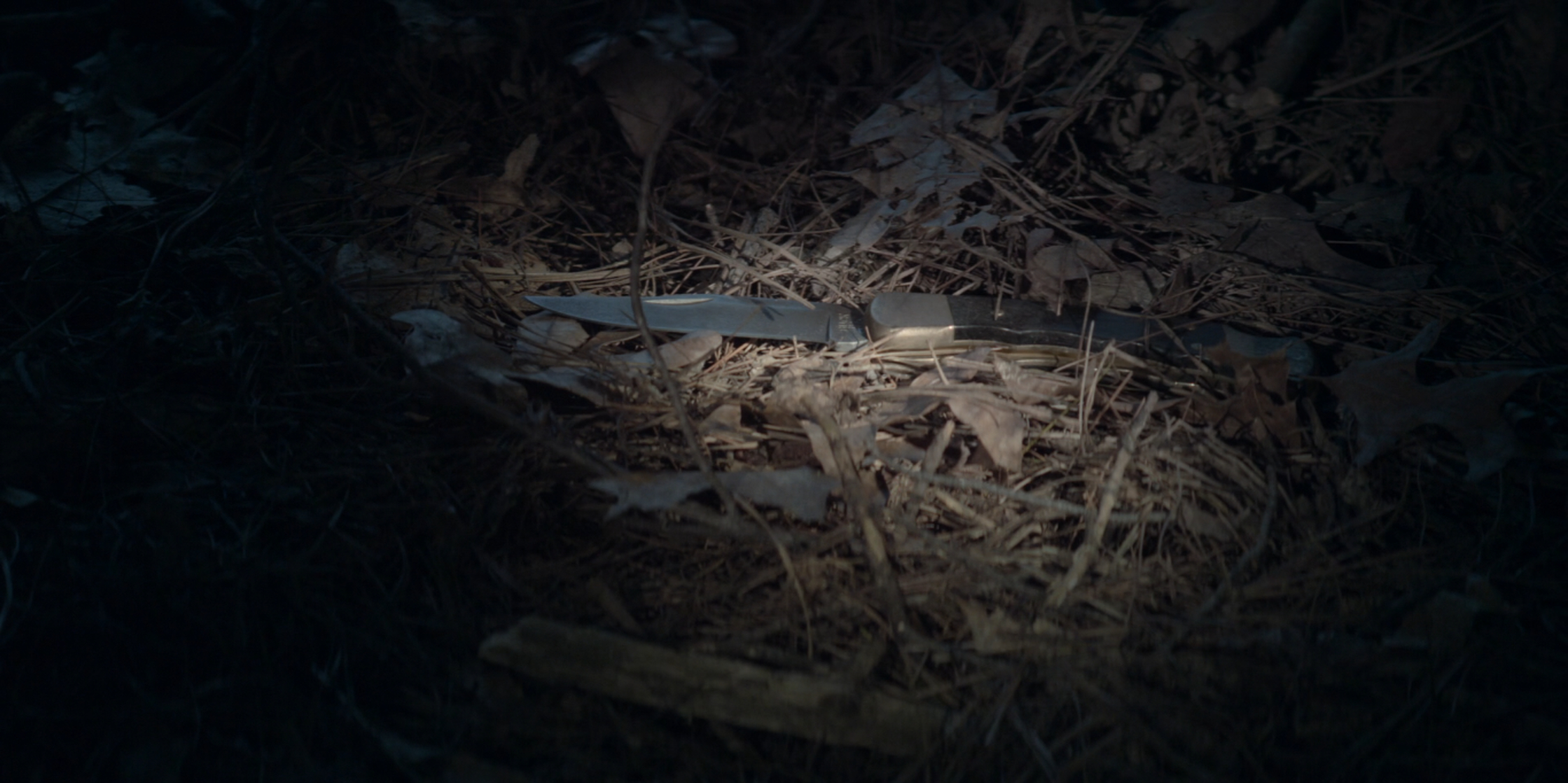 S1 E2: "Everything Is Cool"