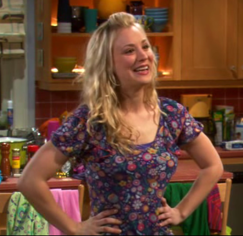 The Big Bang Theory The Big Bang Theory