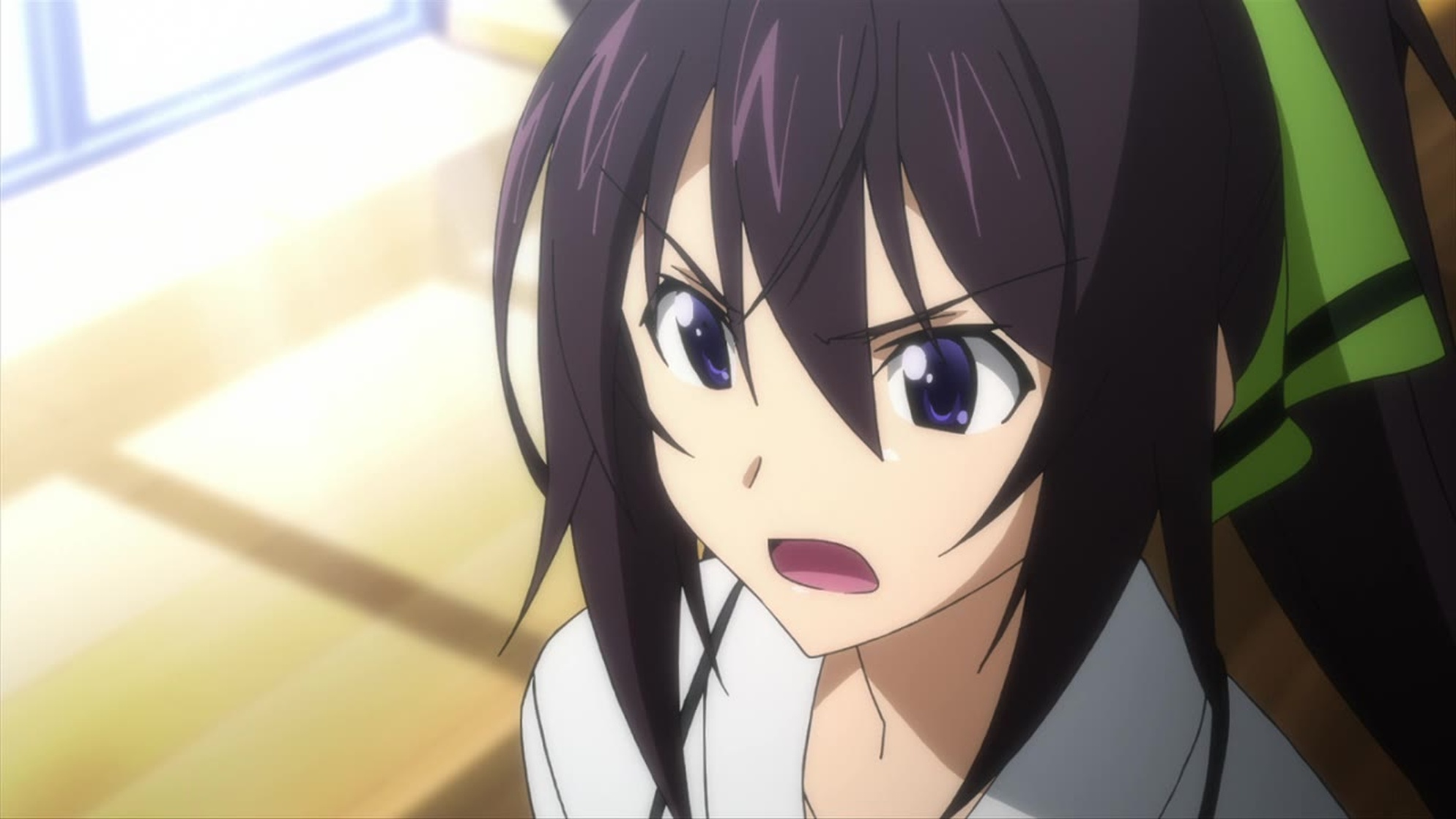 Houki Shinonono Houki Shinonono