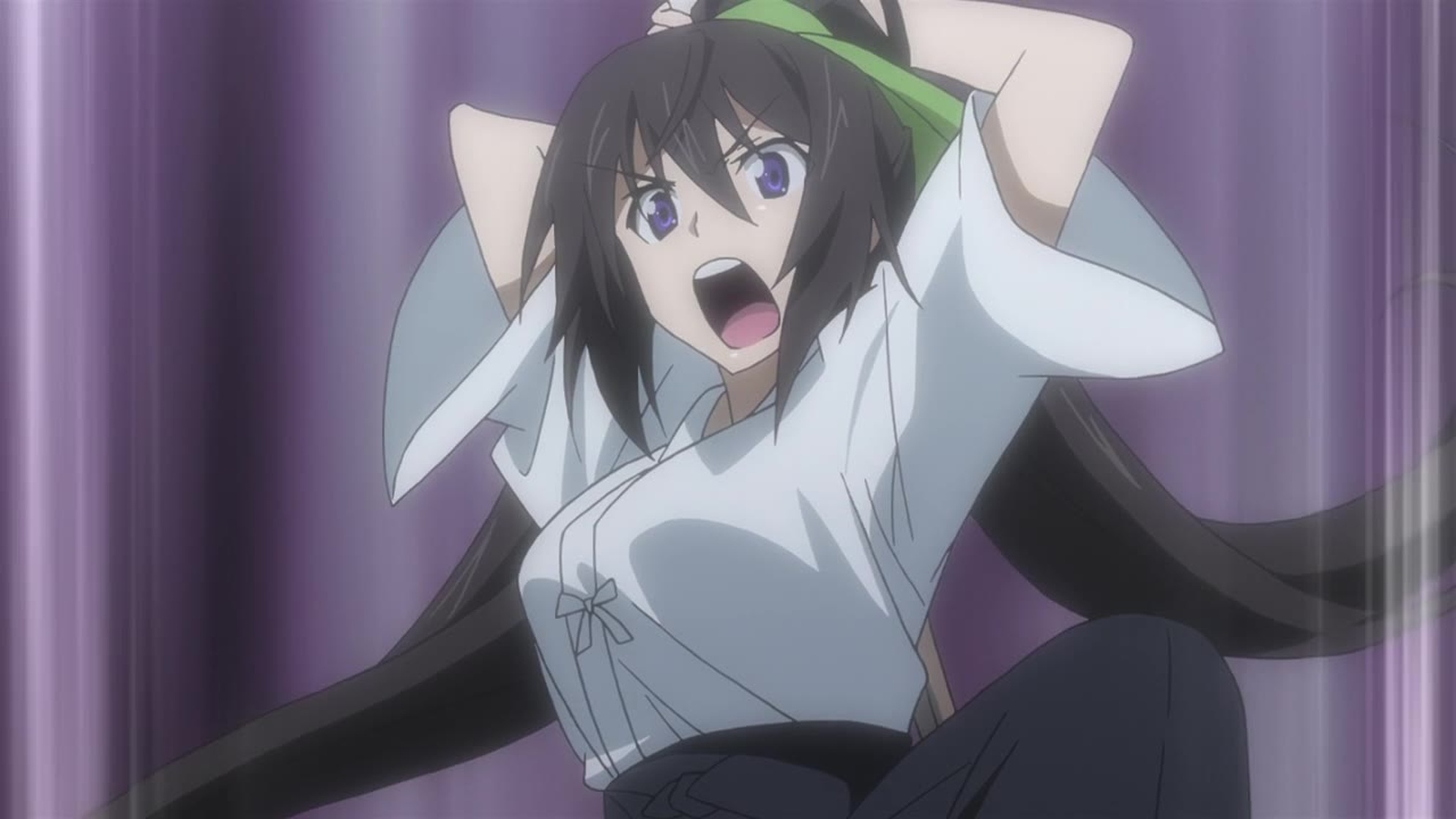 Houki Shinonono Houki Shinonono