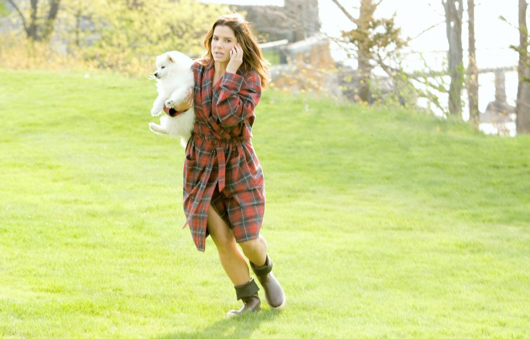Sandra Bullock Sandra Bullock