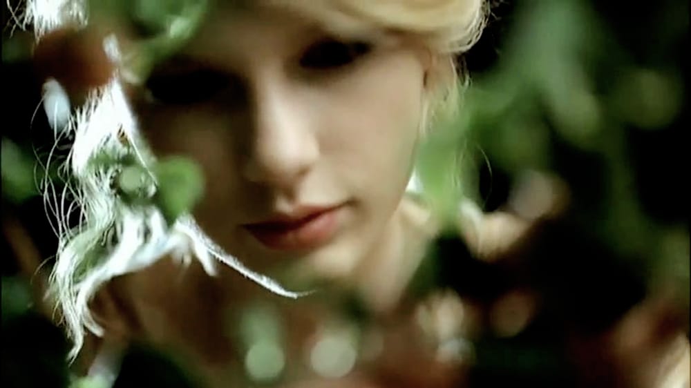 Taylor Swift Taylor Swift