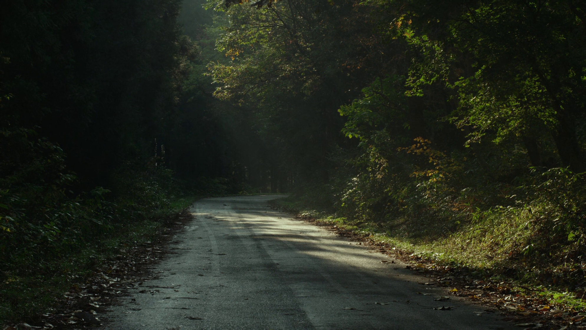 Little Forest: Summer/Autumn                                  (2014)