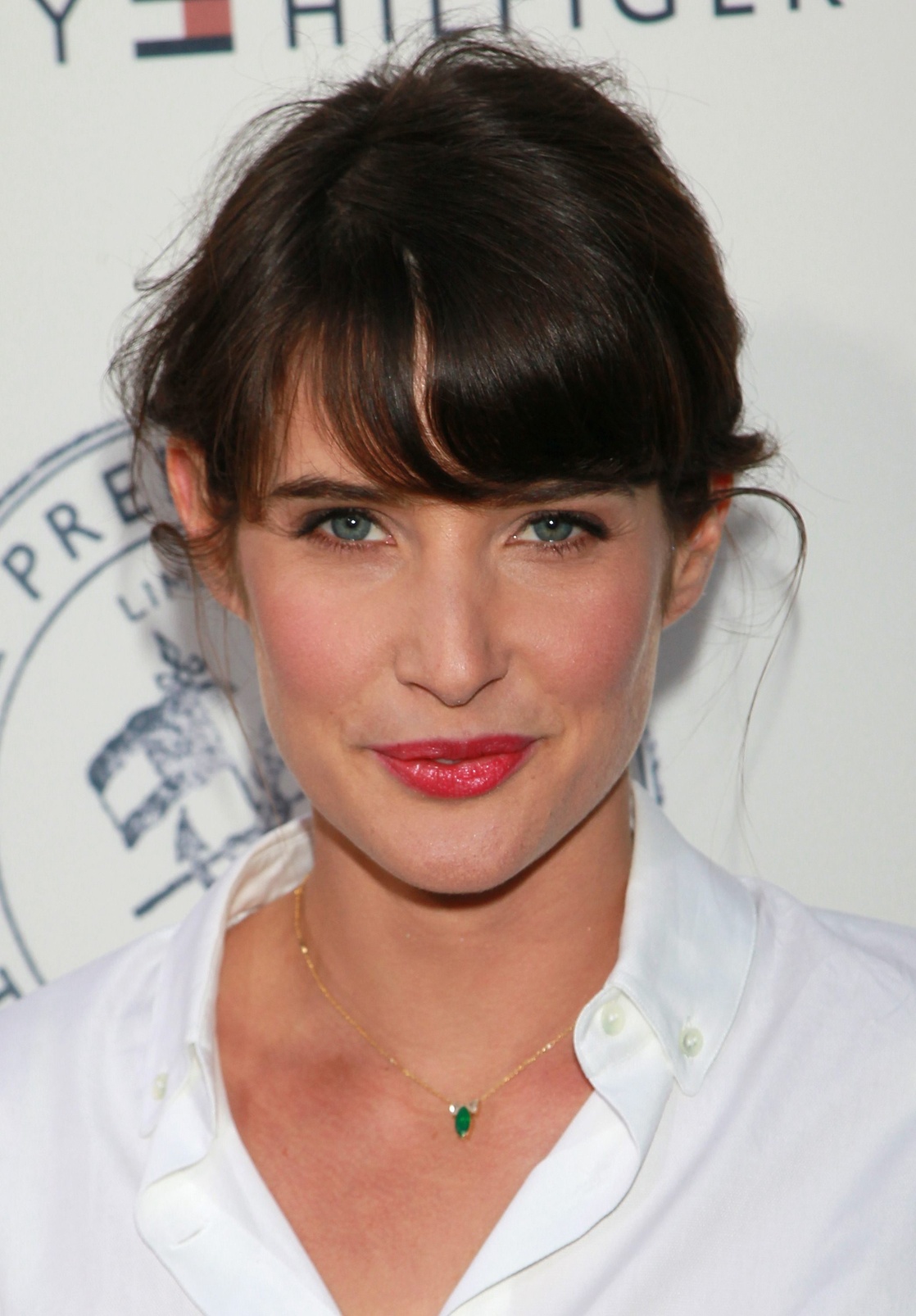 Picture of Cobie Smulders