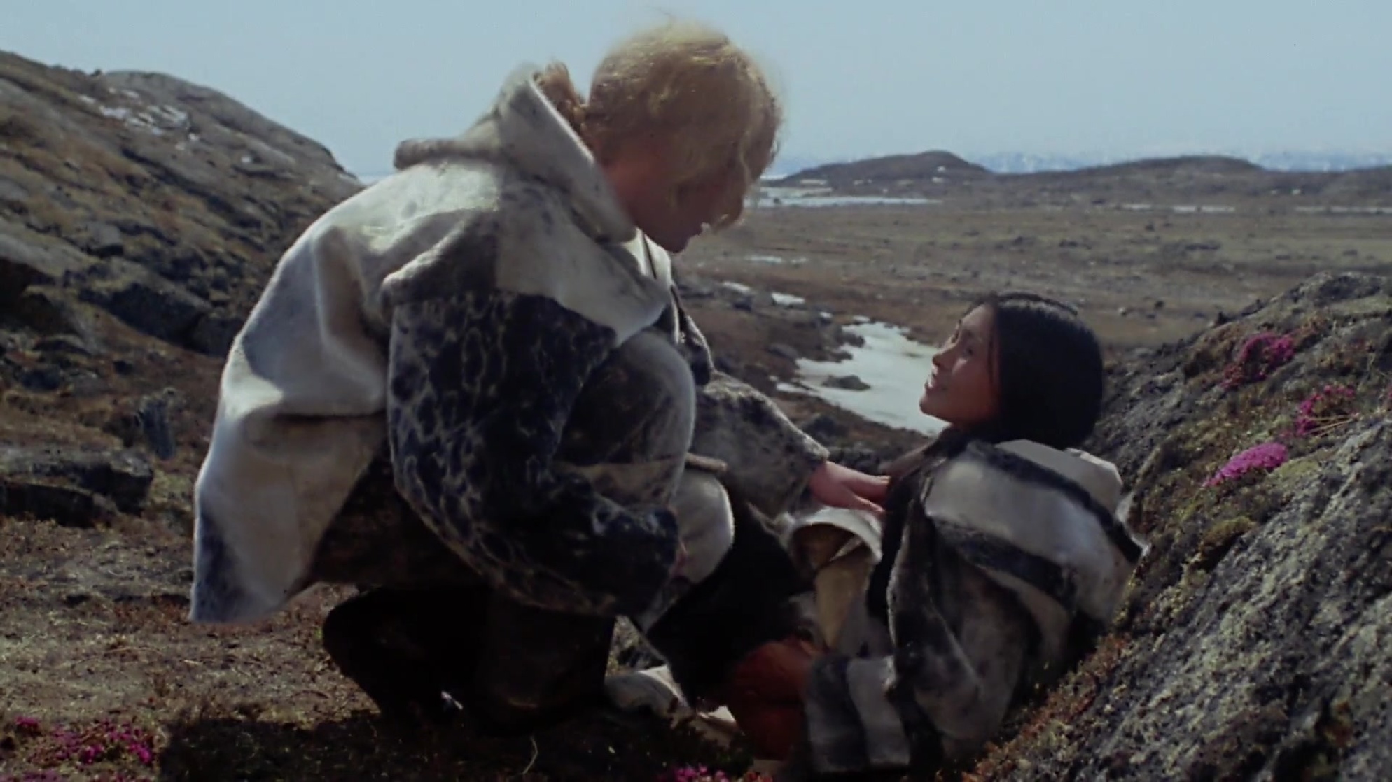 The White Dawn