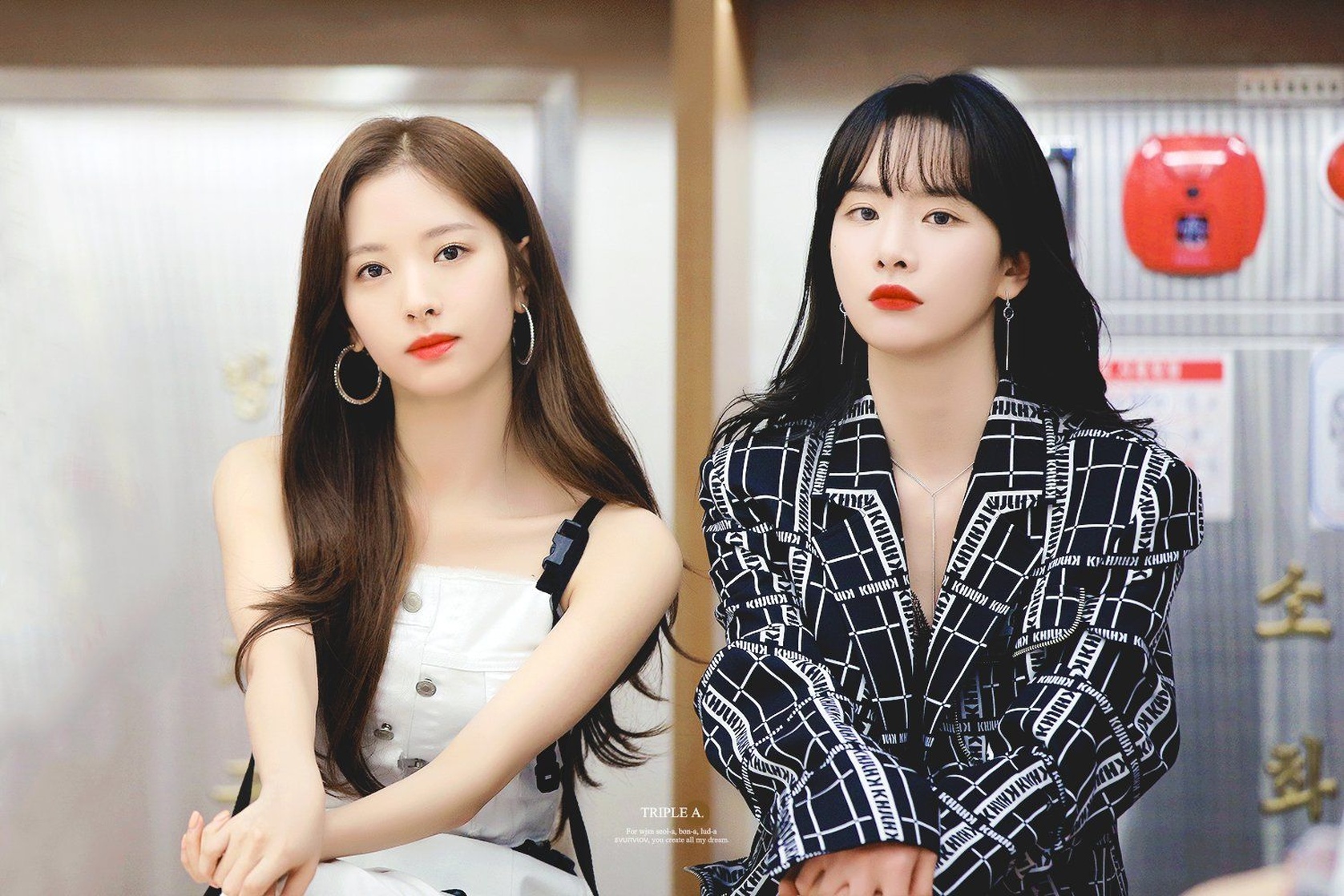 Bona Bona