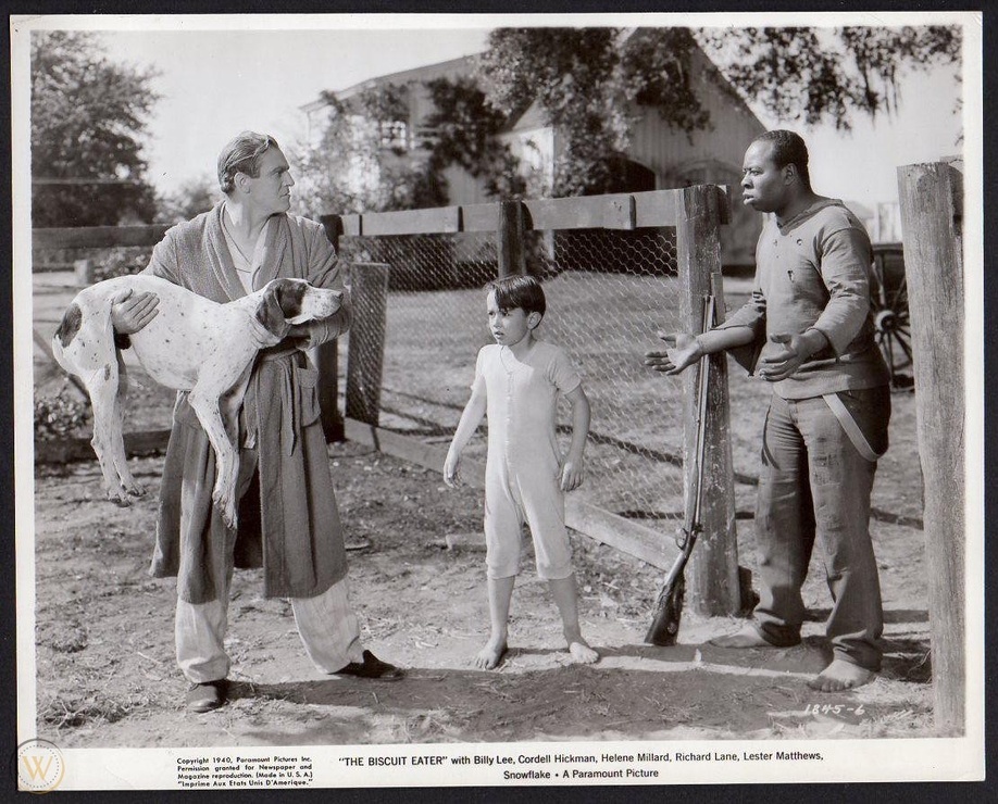 The Biscuit Eater image
