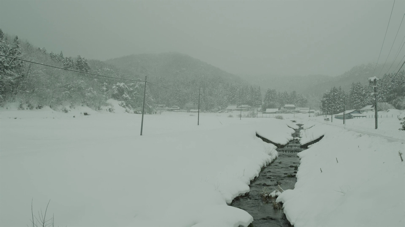Picture of Little Forest: Winter/Spring (2015)