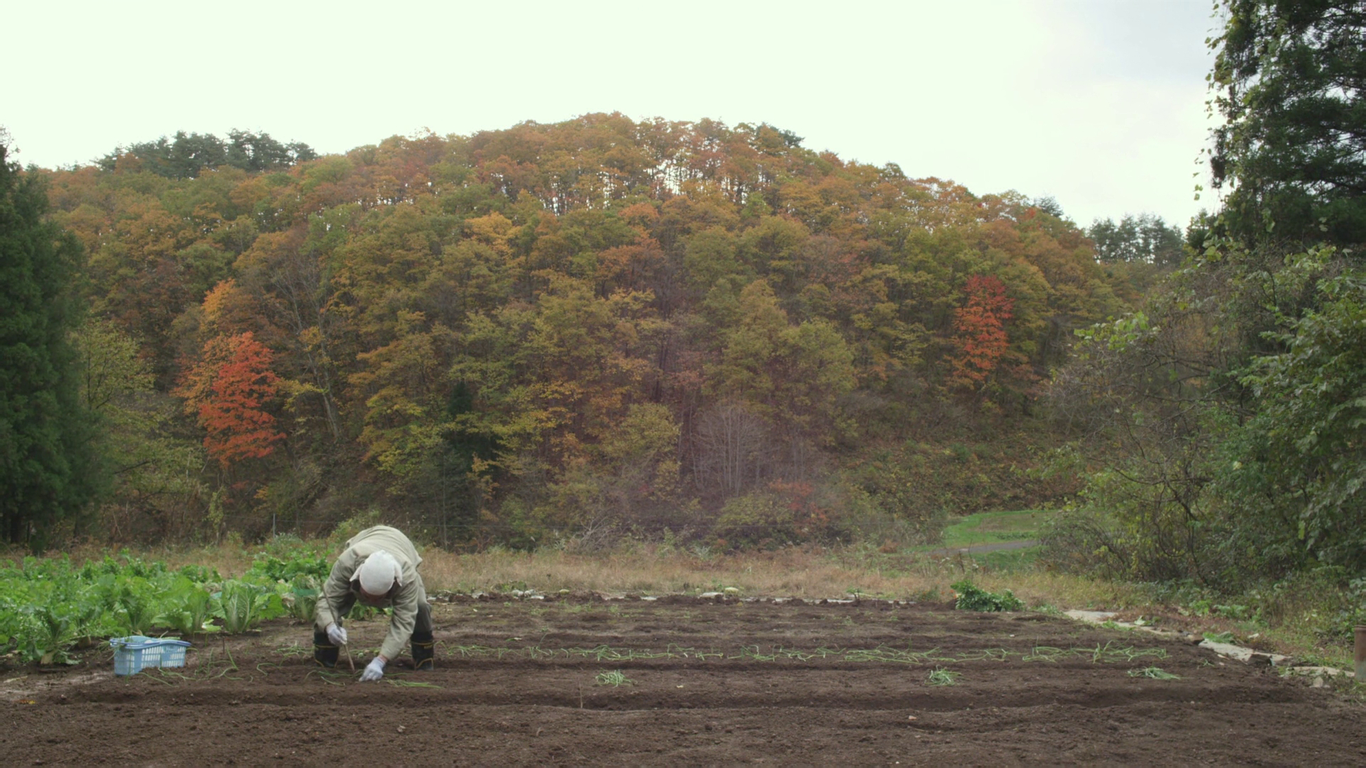 Little Forest: Winter/Spring (2015) picture