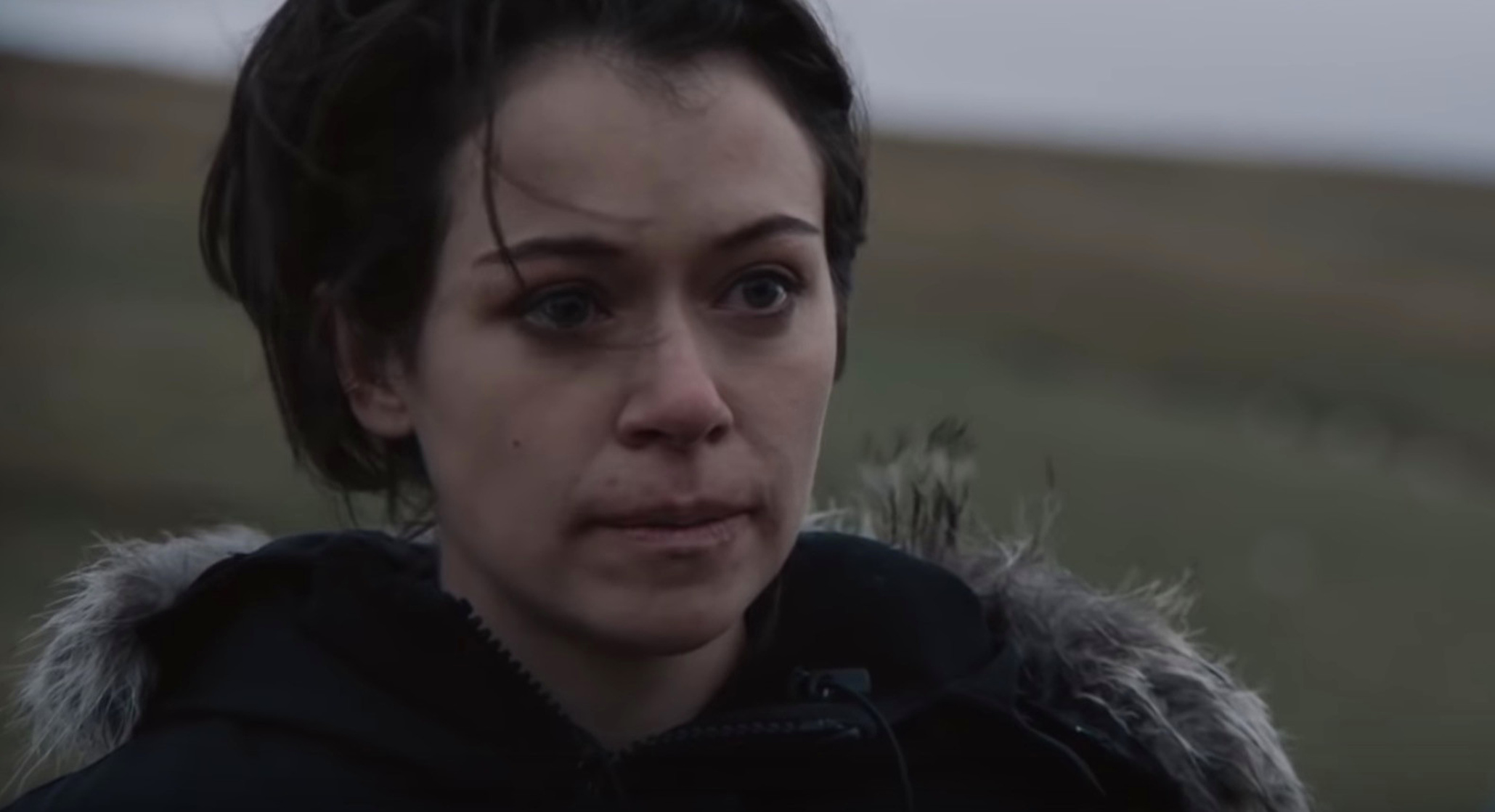 Picture of Pink Wall (2019)