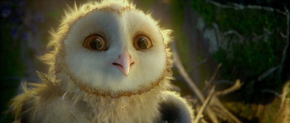 Legend of the Guardians: The Owls of Ga'Hoole