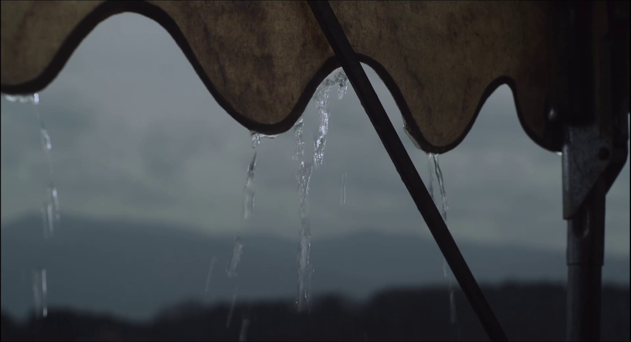 The Woodsman and the Rain
