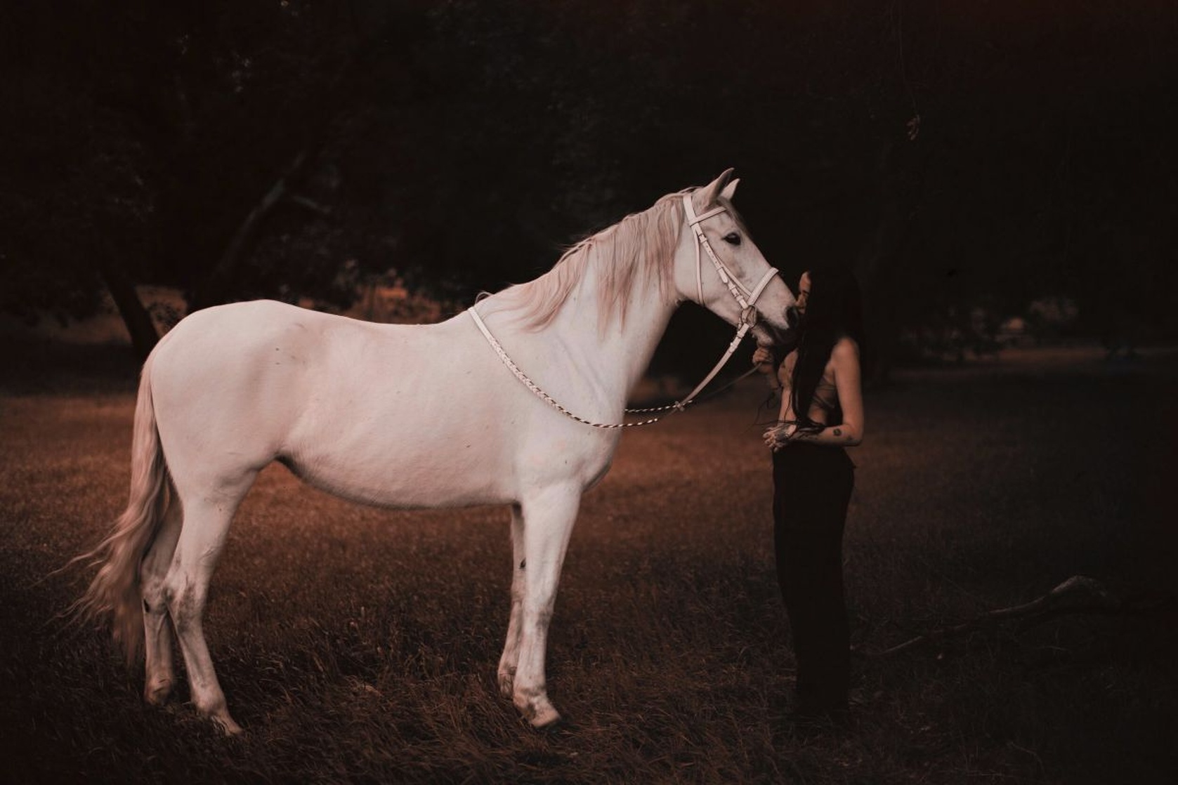 Noah Lindsey Cyrus