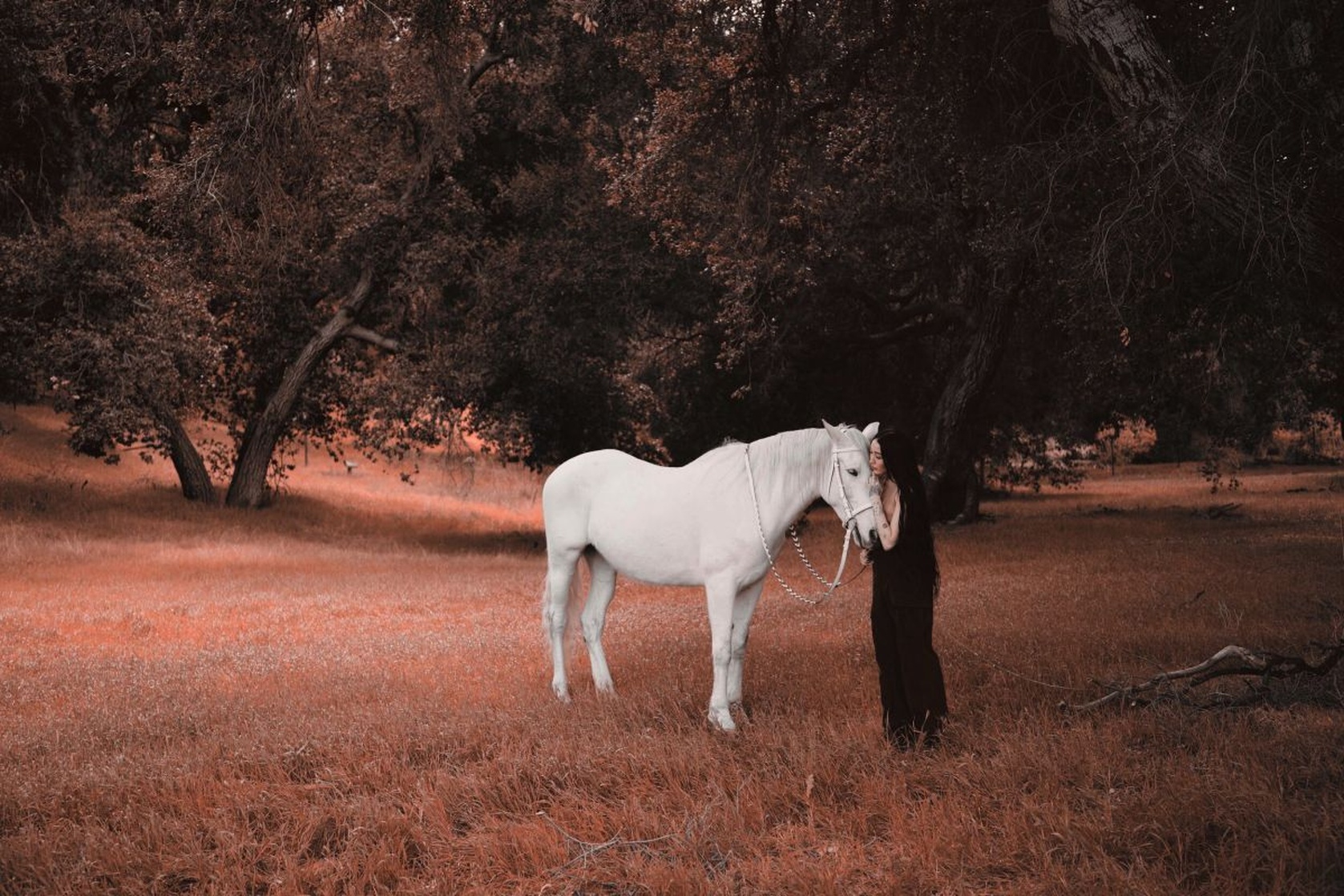 Noah Lindsey Cyrus