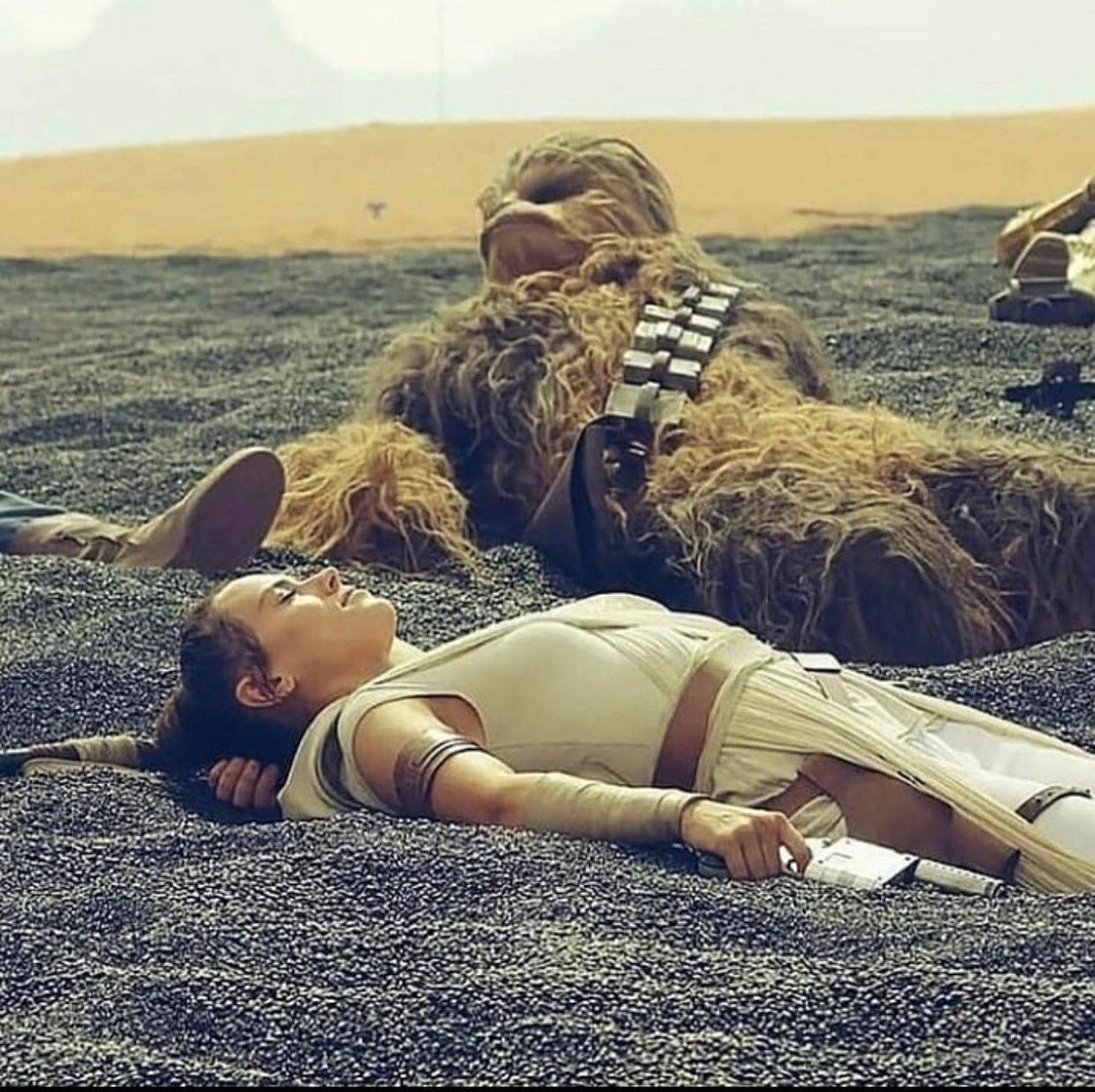 Daisy Ridley