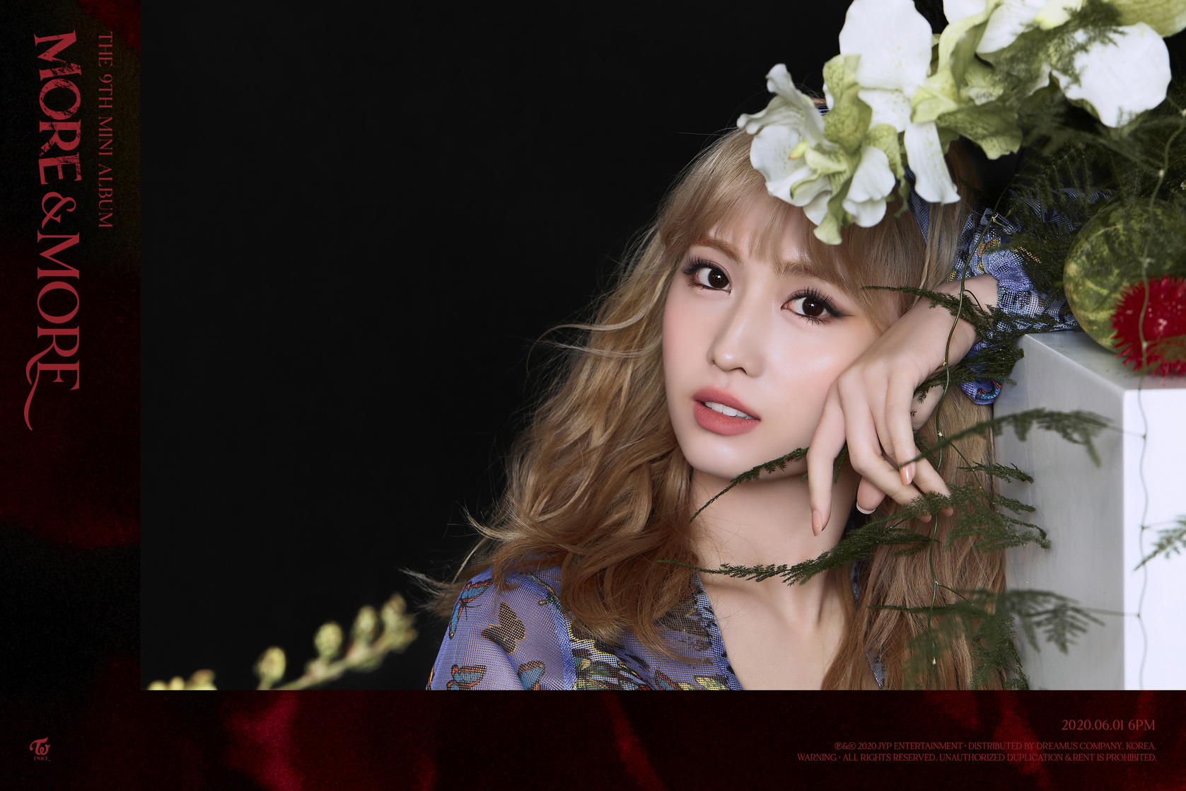 Hirai Momo Hirai Momo