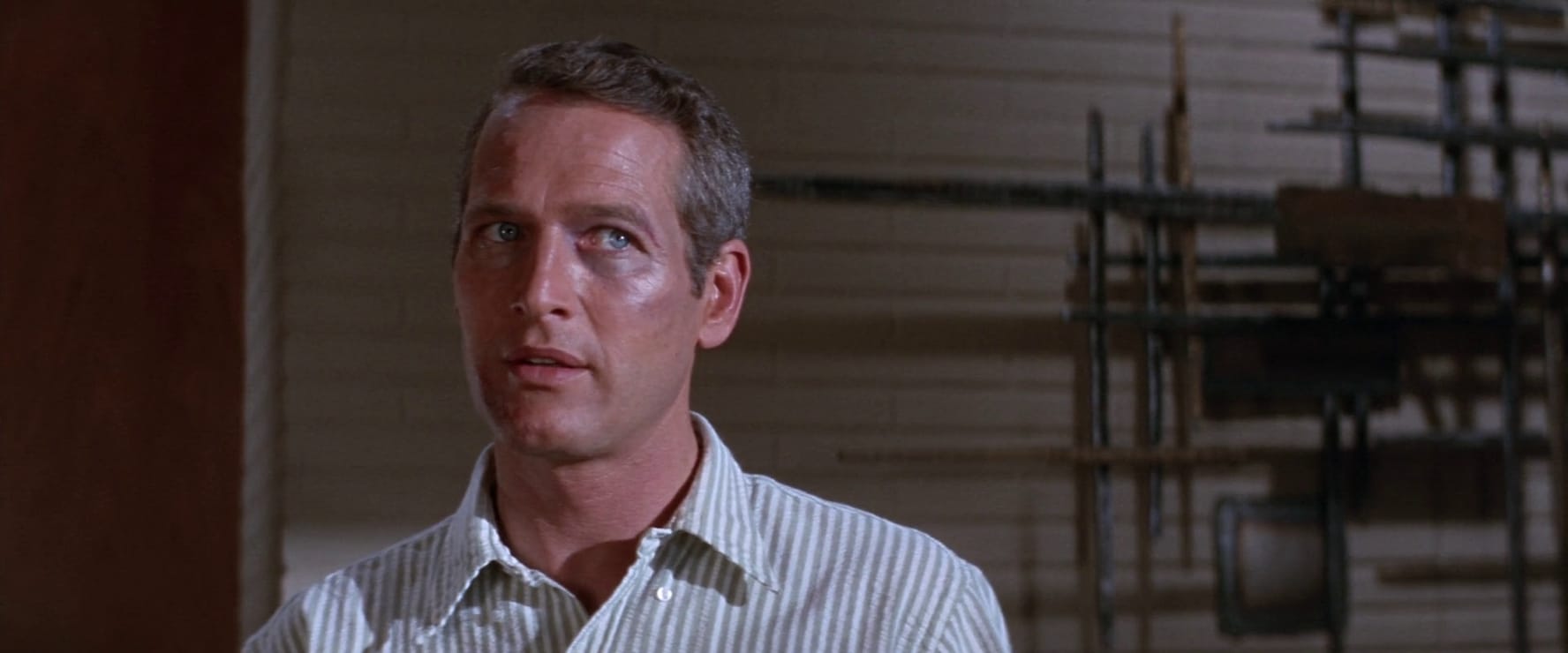 Paul Newman