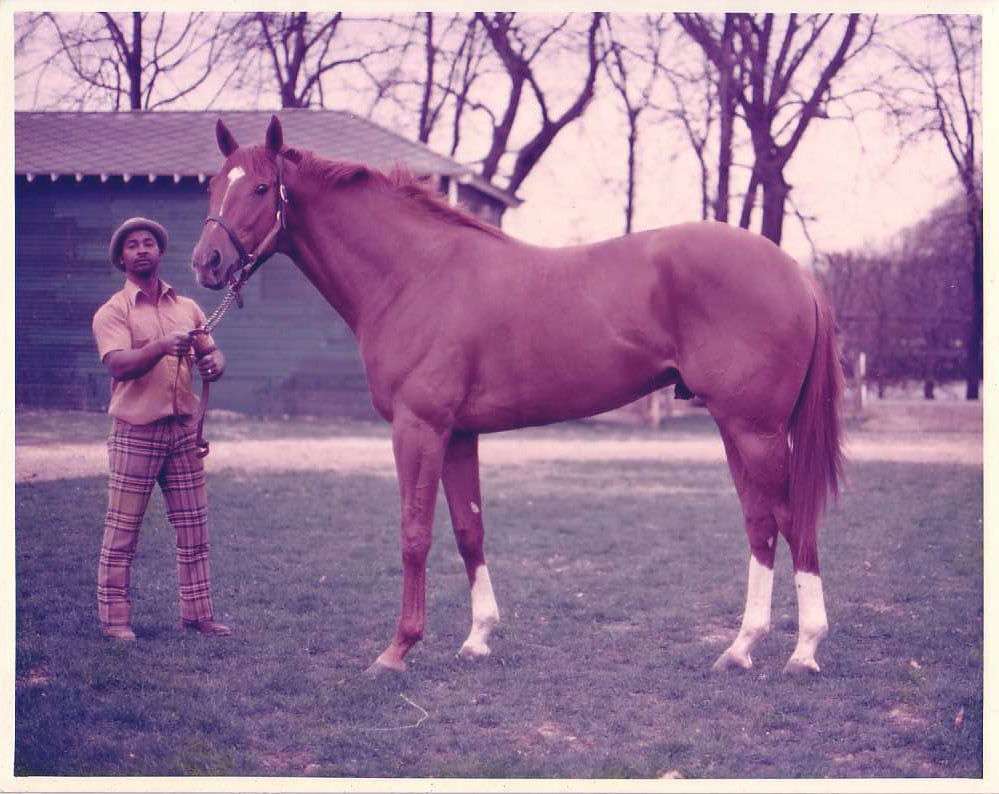 picture-of-secretariat