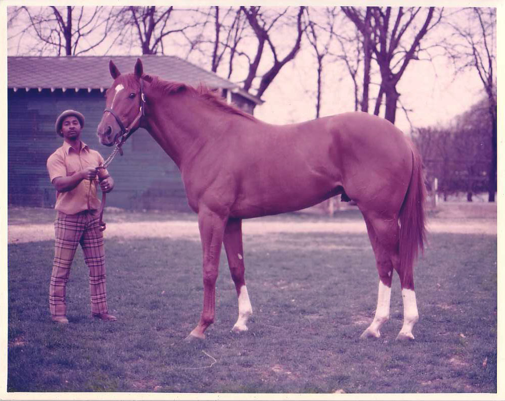 Picture Of Secretariat