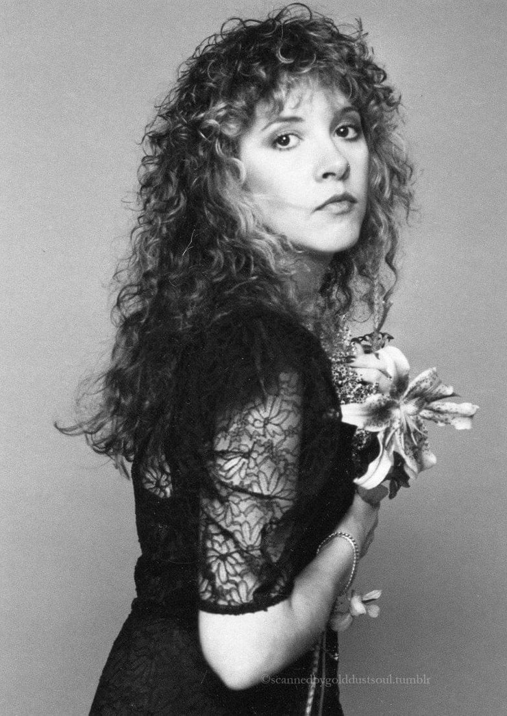 Image of Stevie Nicks