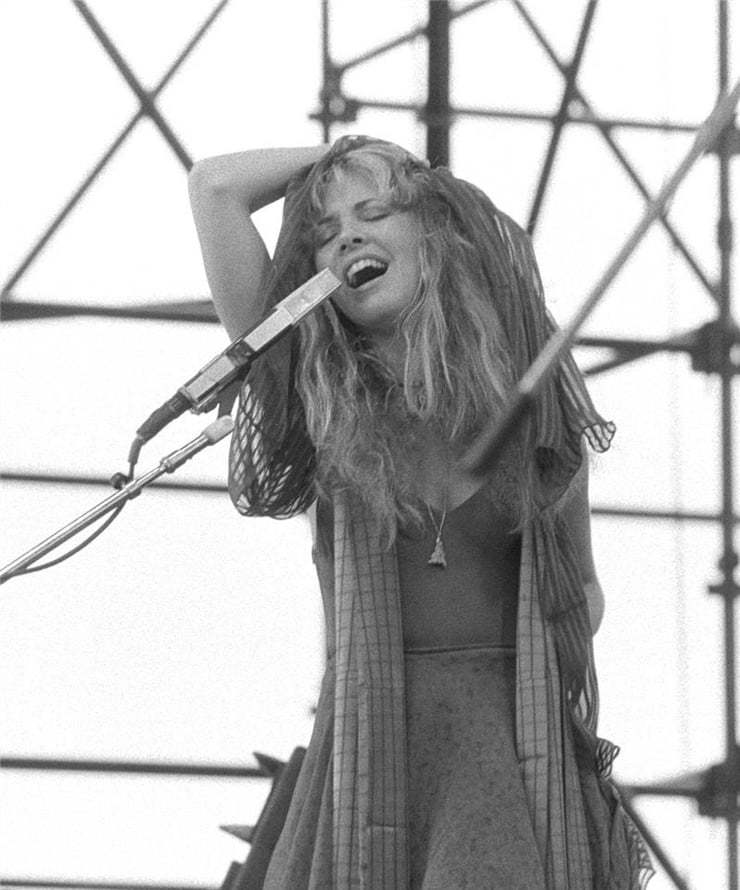 Picture Of Stevie Nicks