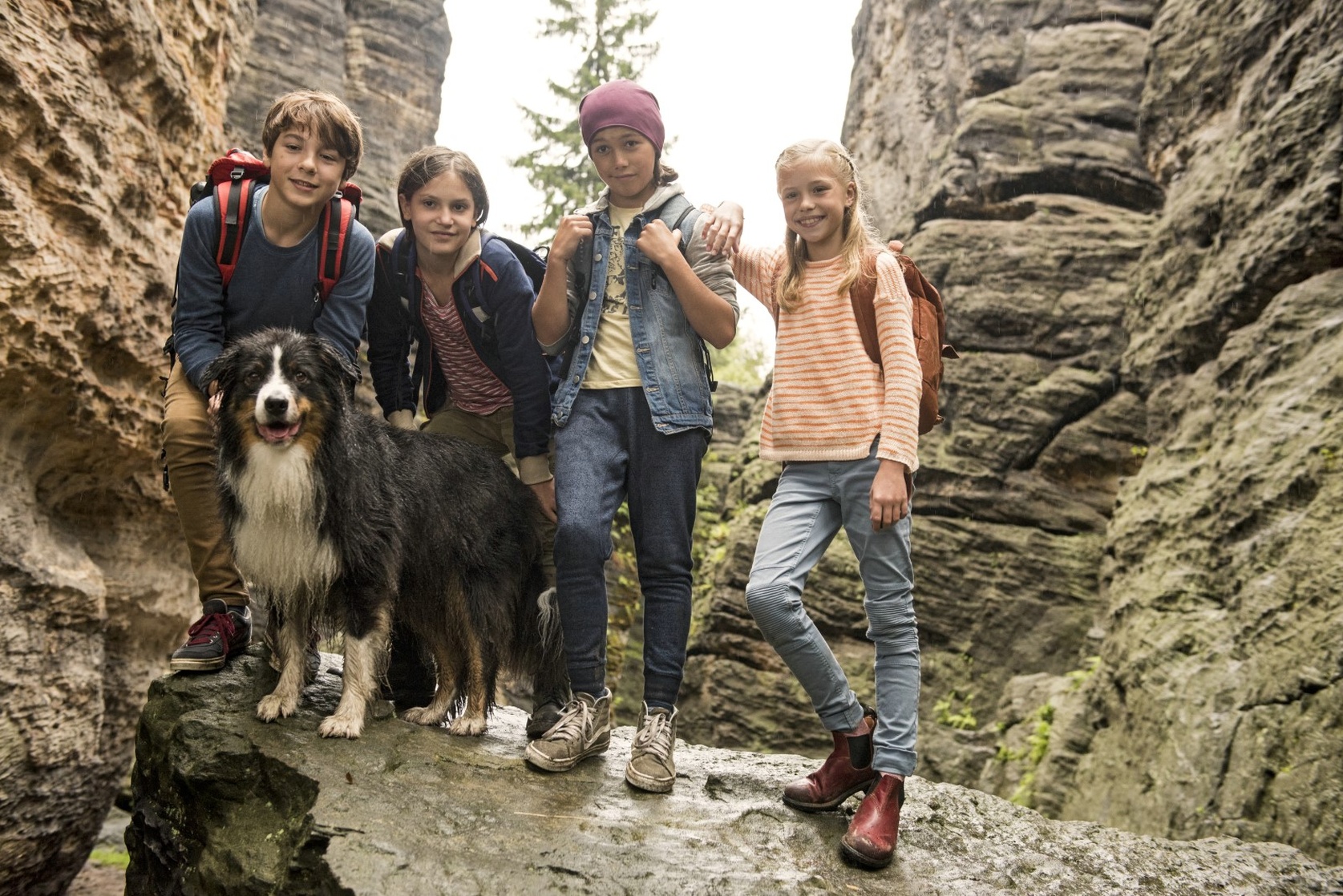 Fünf Freunde und das Tal der Dinosaurier Fünf Freunde und das Tal der Dinosaurier