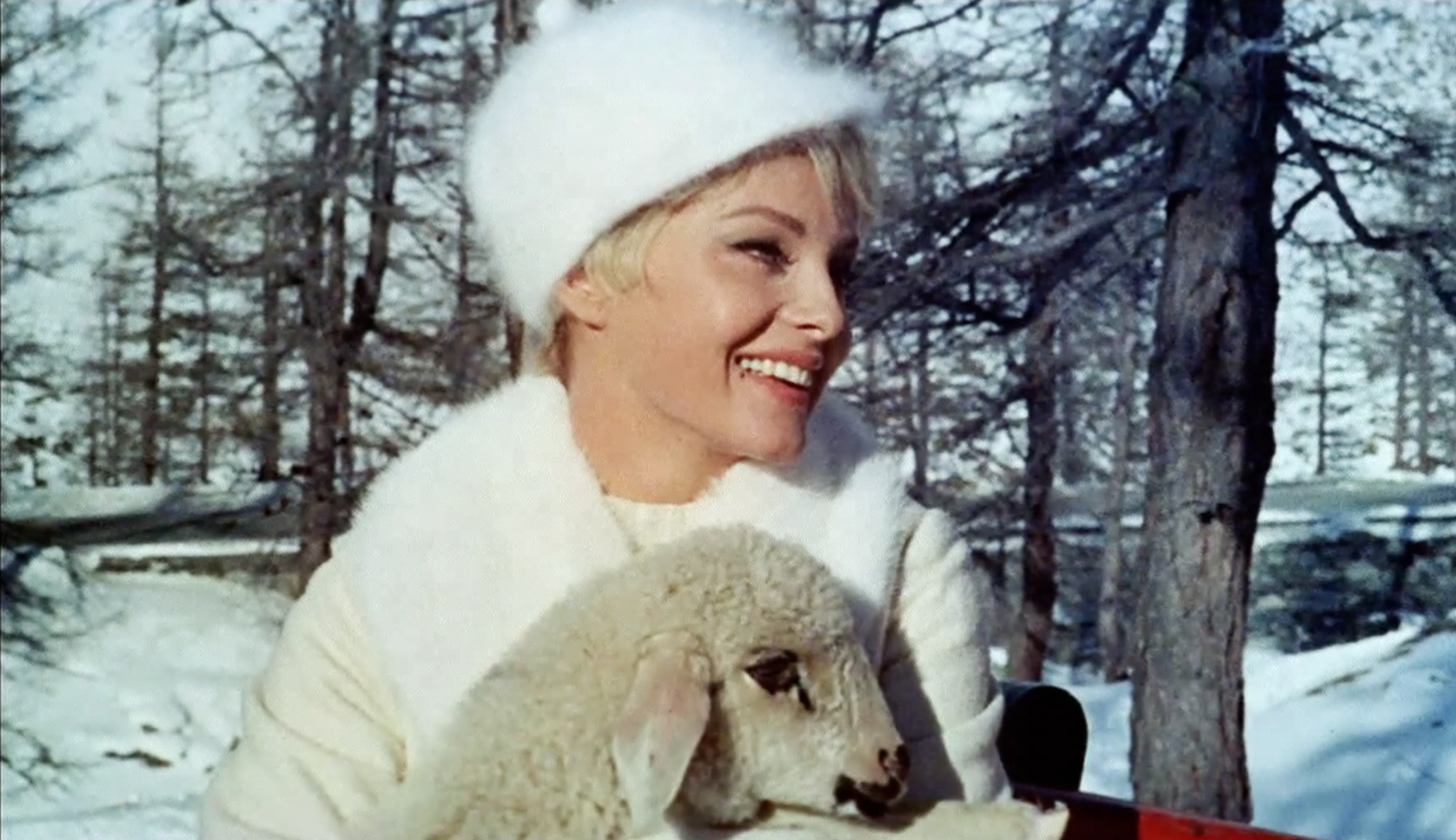 Virna Lisi Virna Lisi