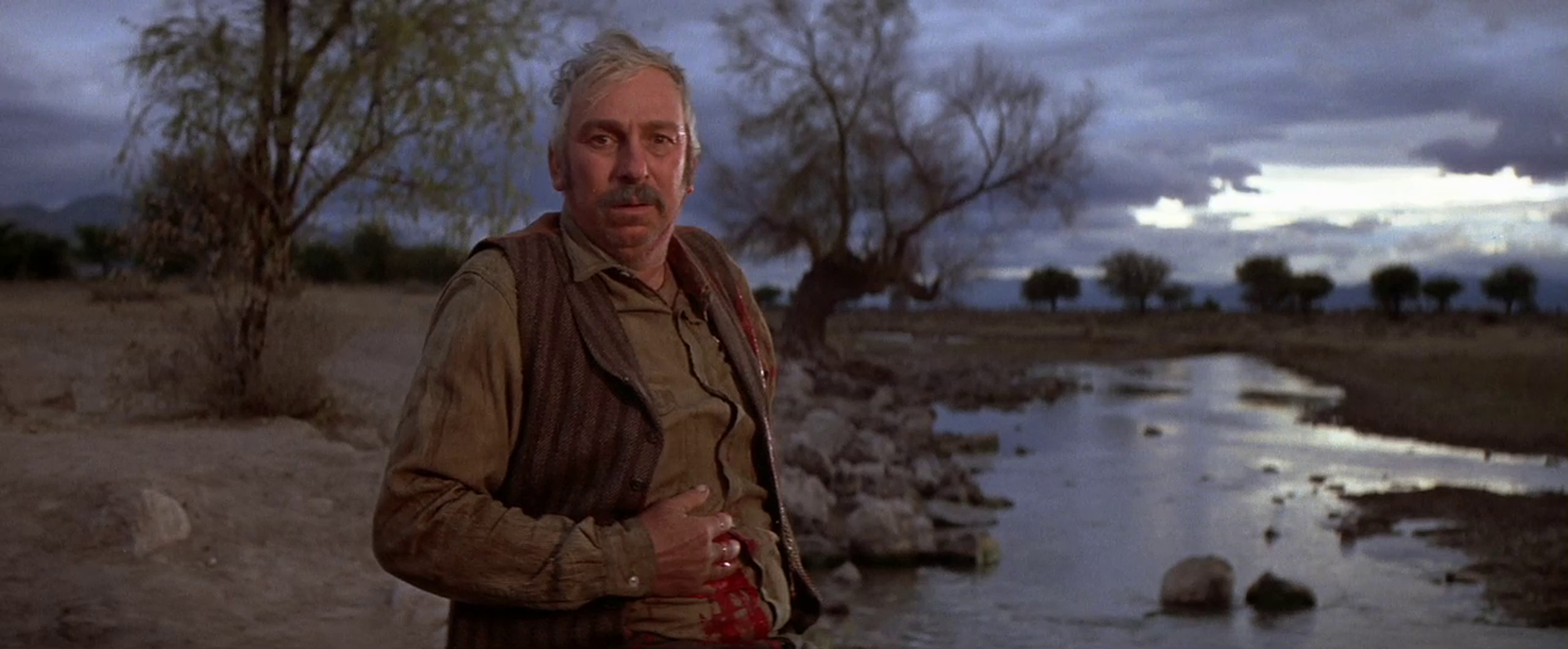 Pat Garrett and Billy the Kid (1973) Pat Garrett and Billy the Kid (1973)