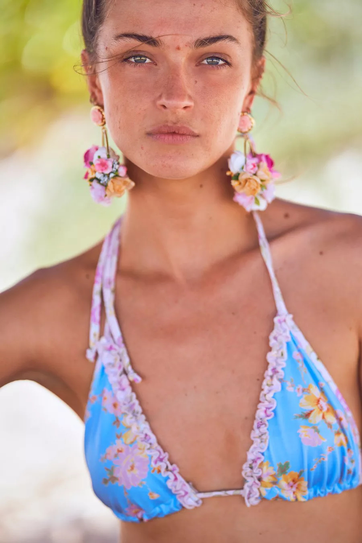 Image of victoria plum