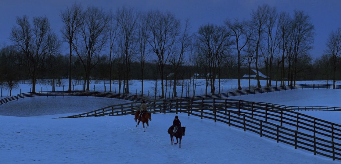 The Horse Whisperer