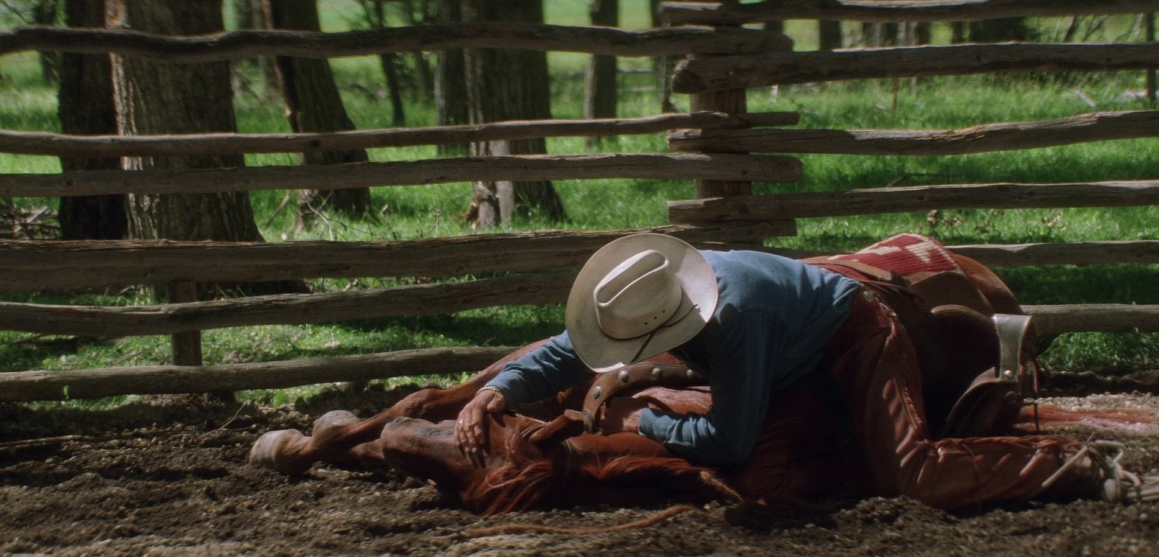 The Horse Whisperer The Horse Whisperer