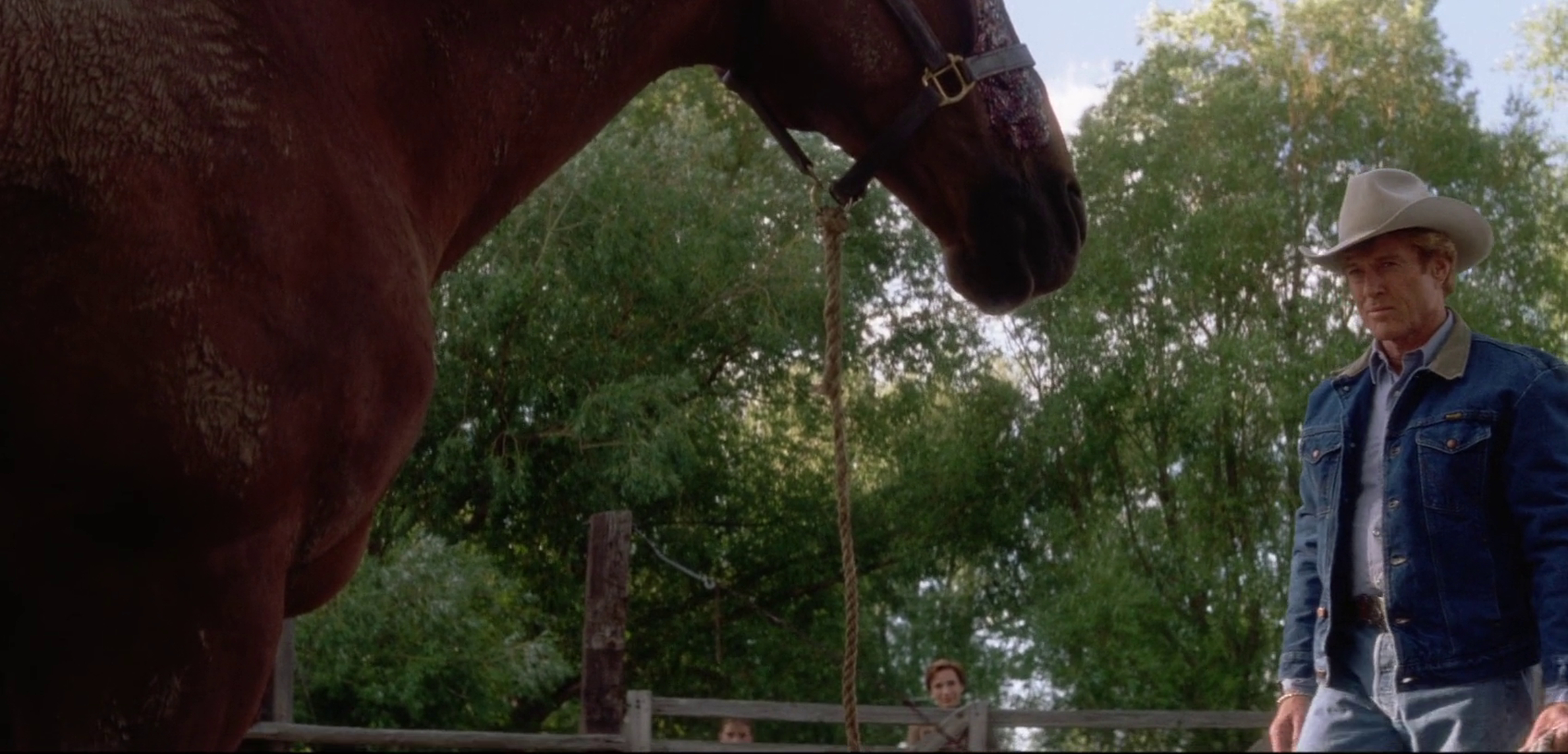 The Horse Whisperer The Horse Whisperer