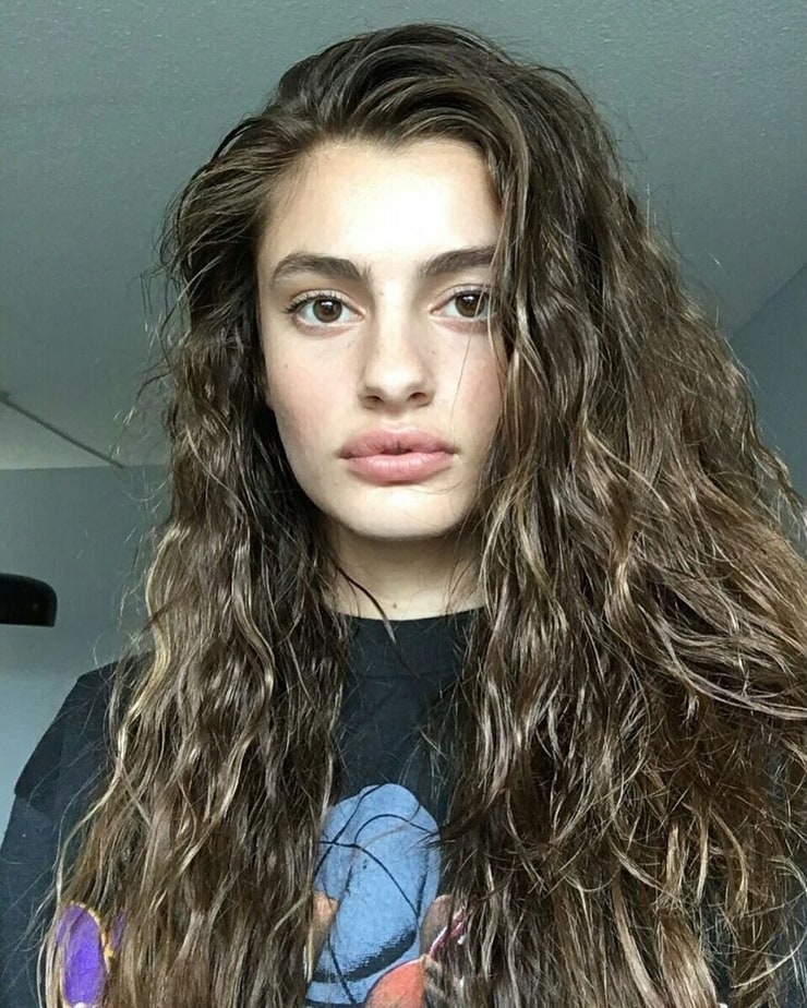 Diana Silvers picture