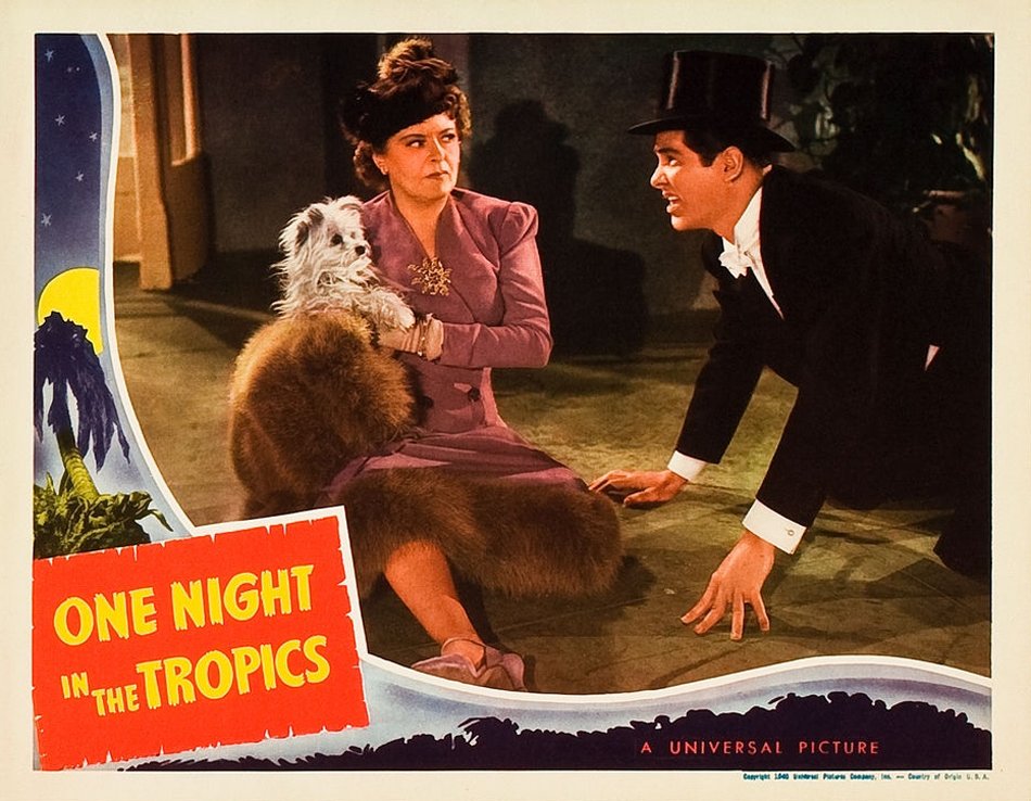One Night in the Tropics