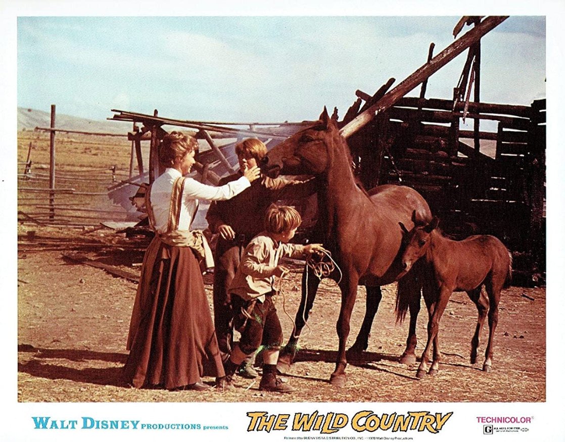 The Wild Country