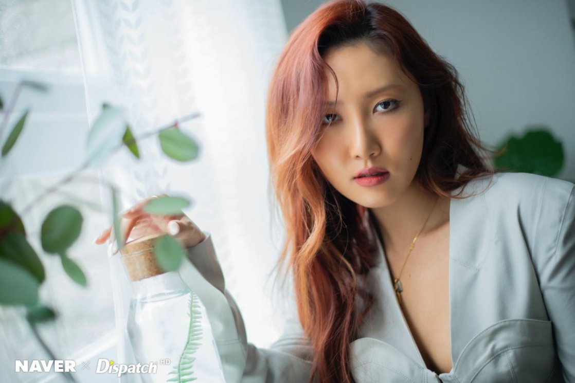 Hwasa Hwasa