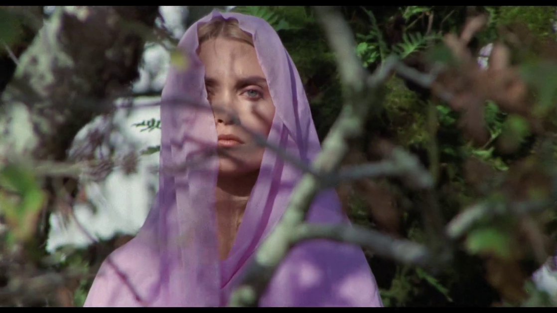 The Blood Spattered Bride