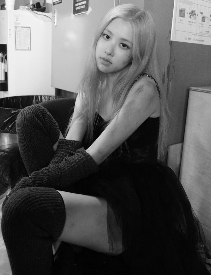 Roseanne Park image