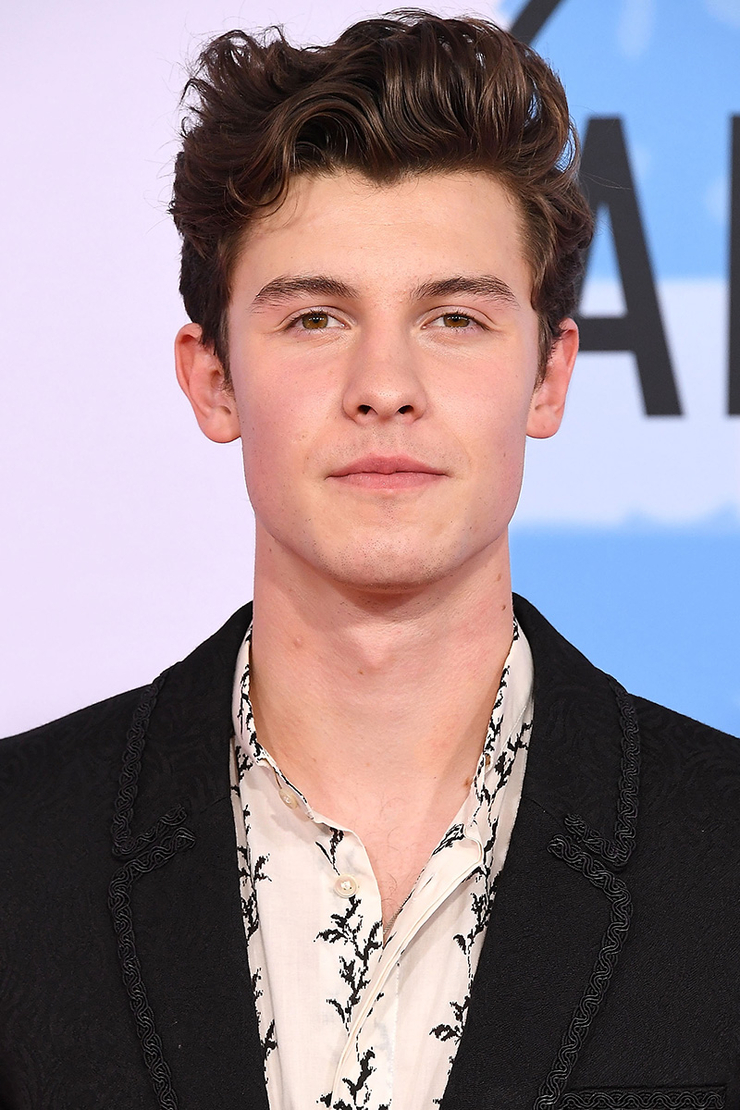 Picture of Shawn Mendes