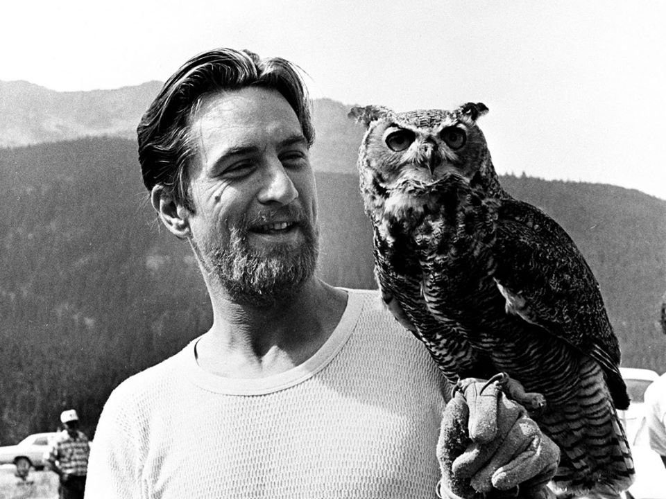 The Deer Hunter