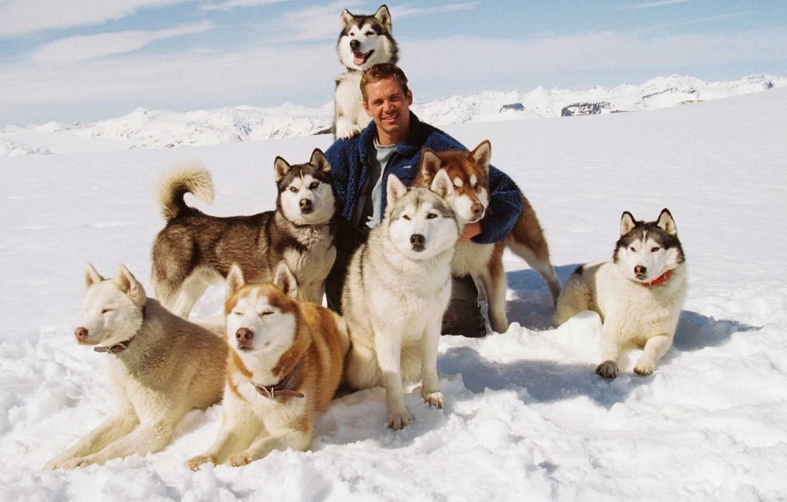 Eight Below Eight Below