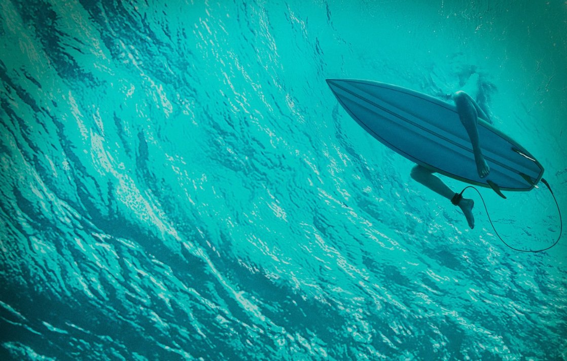 The Shallows