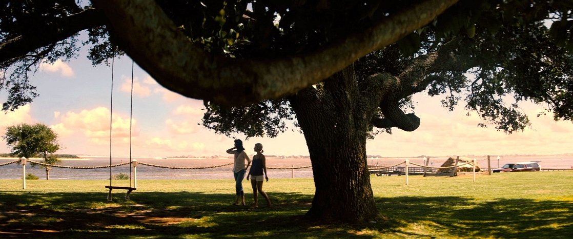 Safe Haven
