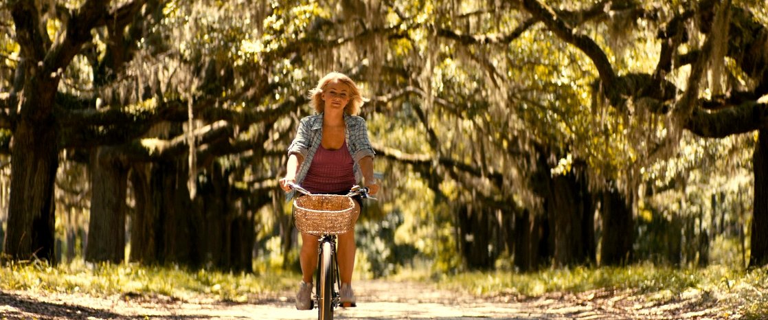 Safe Haven
