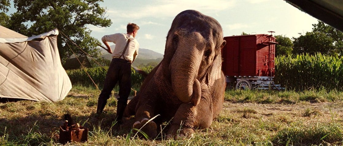 Water for Elephants