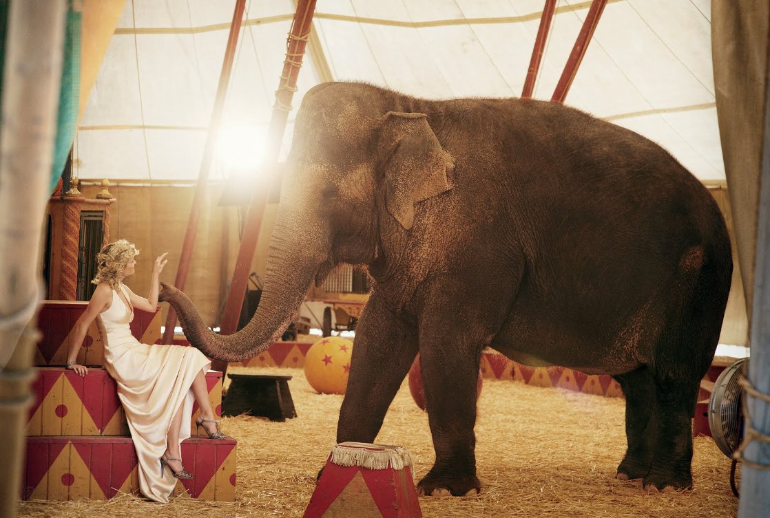 Water for Elephants