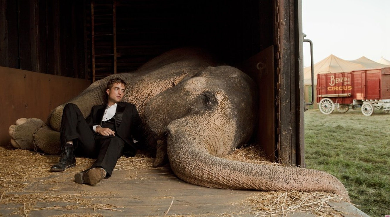 Water for Elephants