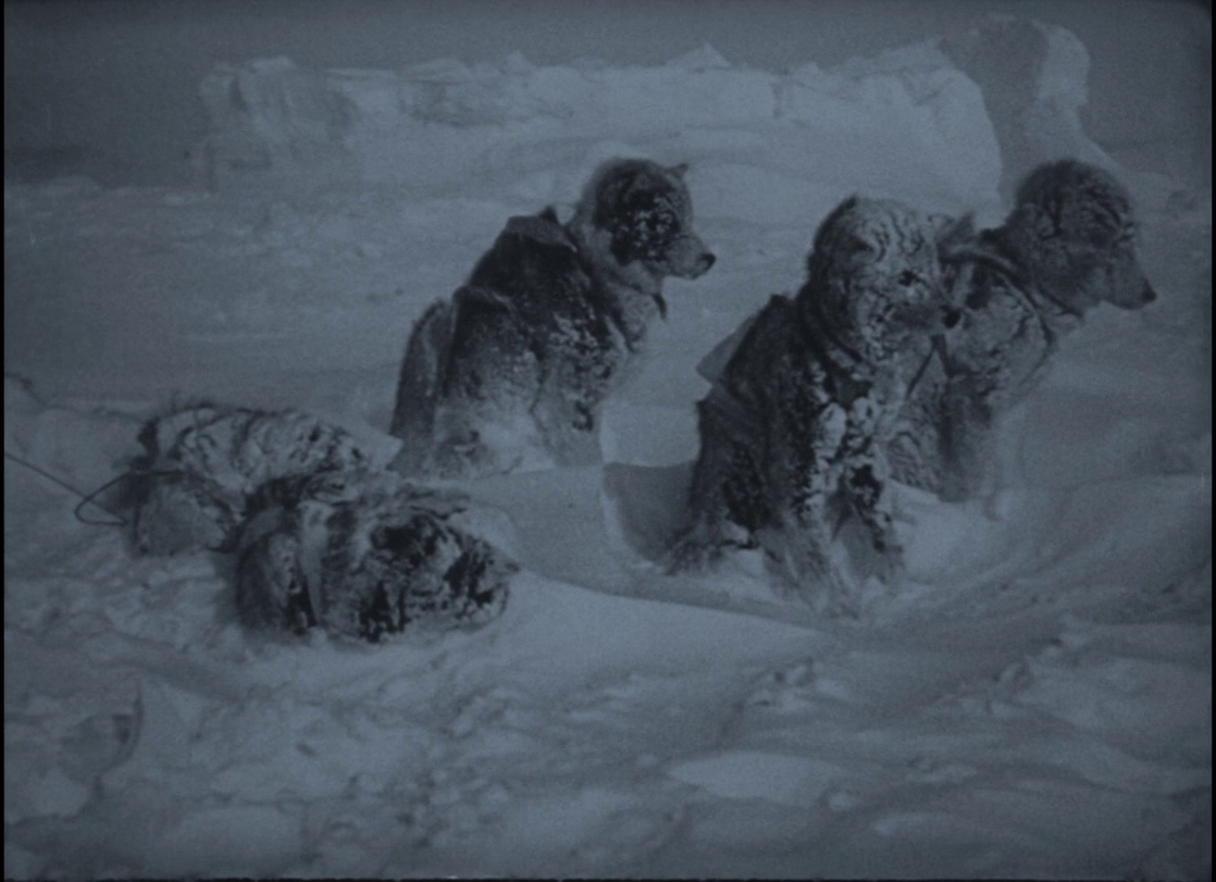Nanook of the North