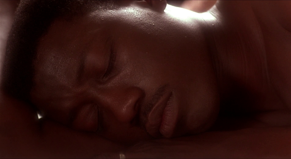Jungle Fever Jungle Fever
